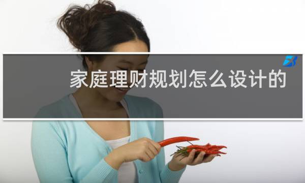 家庭理财规划怎么设计的