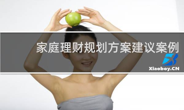 家庭理财规划方案建议案例
