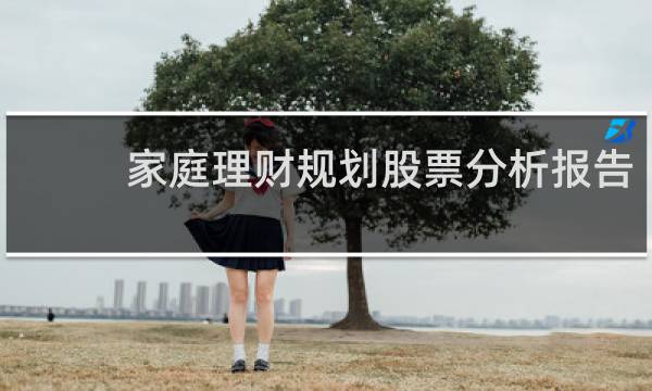 家庭理财规划股票分析报告