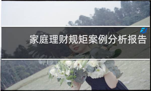 家庭理财规矩案例分析报告