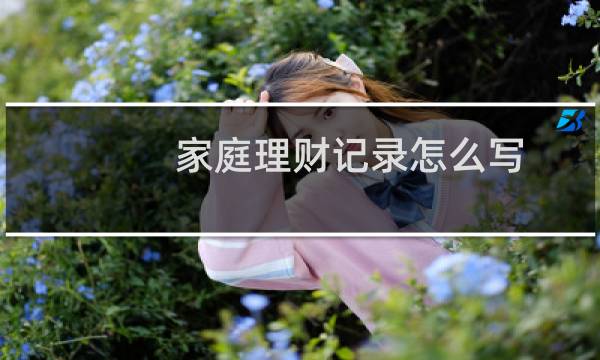 家庭理财记录怎么写