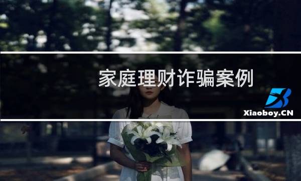 家庭理财诈骗案例