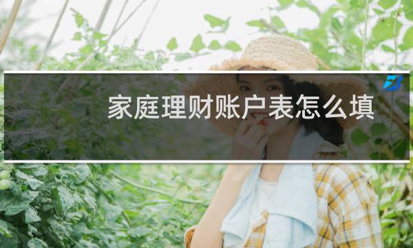 家庭理财账户表怎么填