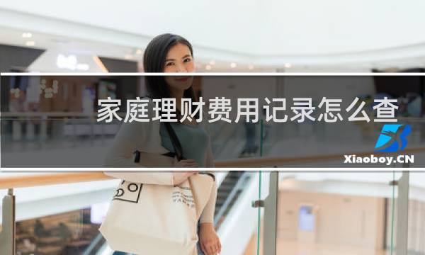 家庭理财费用记录怎么查