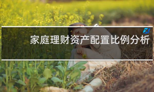 家庭理财资产配置比例分析