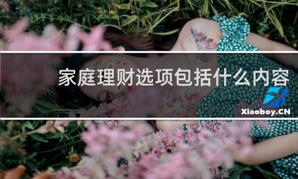 家庭理财选项包括什么内容