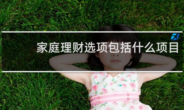 家庭理财选项包括什么项目