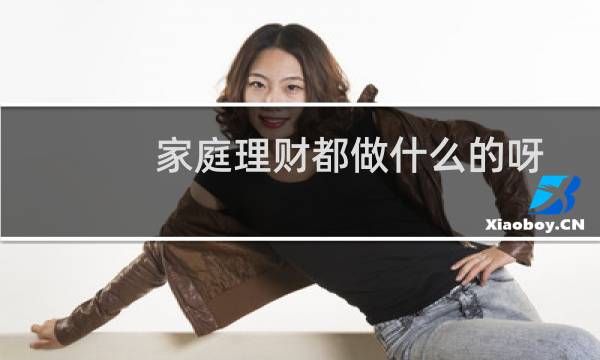 家庭理财都做什么的呀