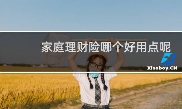 家庭理财险哪个好用点呢