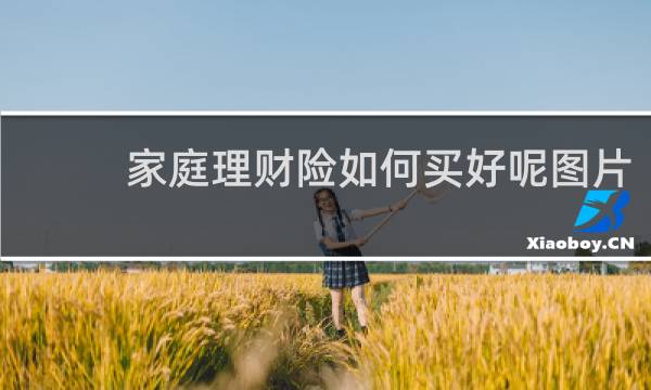 家庭理财险如何买好呢图片