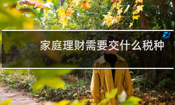 家庭理财需要交什么税种