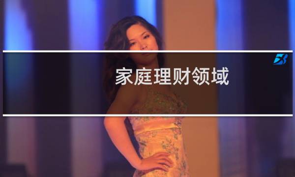 家庭理财领域