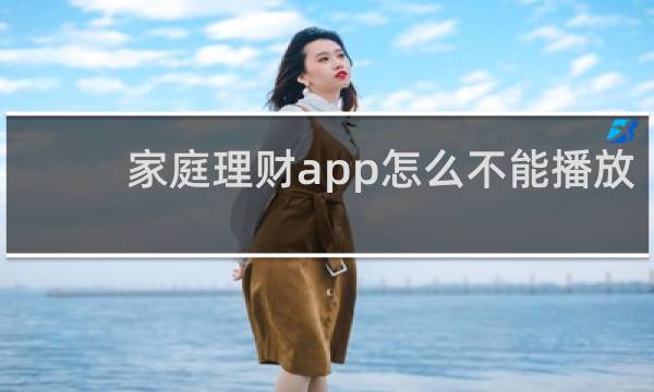 家庭理财app怎么不能播放