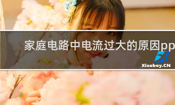 家庭电路中电流过大的原因ppt