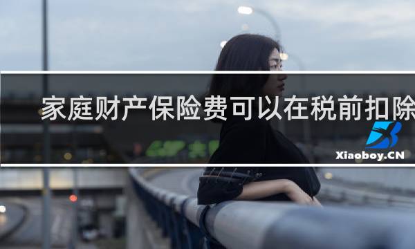 家庭财产保险费可以在税前扣除吗