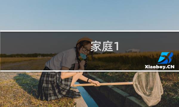 家庭1.7攻略