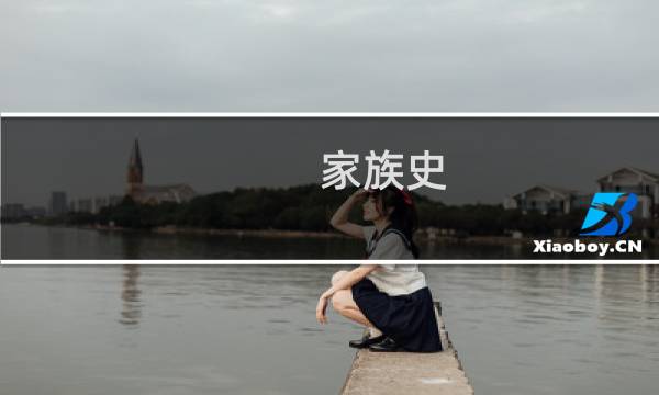 家族史 攻略