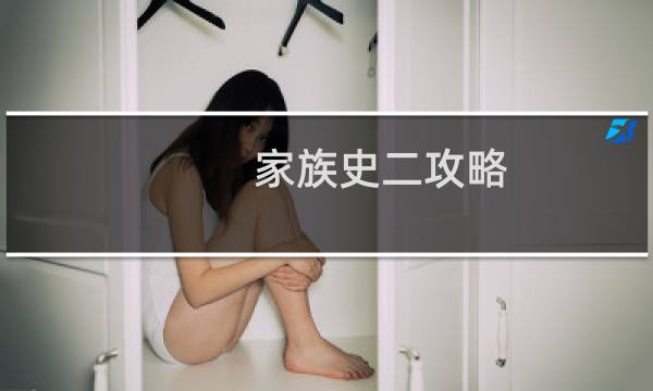 家族史二攻略