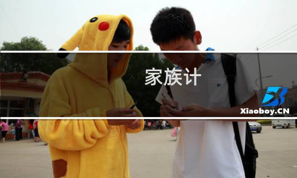 家族计 攻略