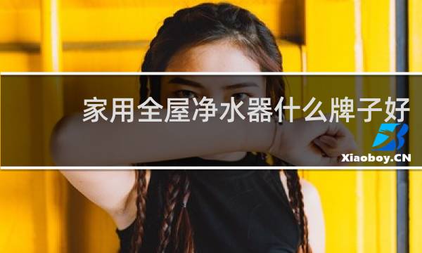 家用全屋净水器什么牌子好