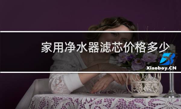 家用净水器滤芯价格多少