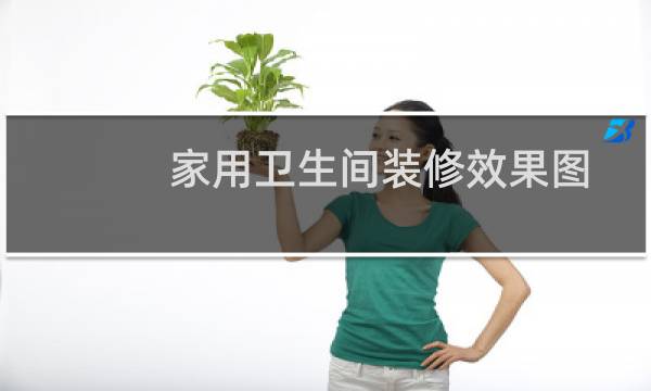 家用卫生间装修效果图