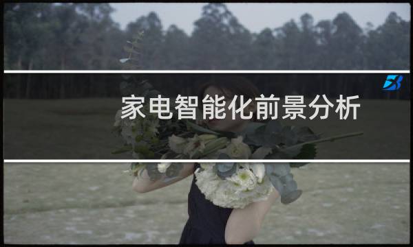 家电智能化前景分析