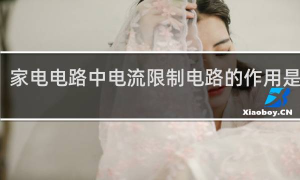 家电电路中电流限制电路的作用是什么