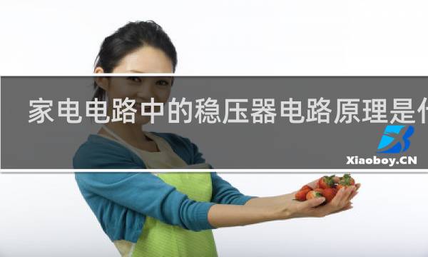 家电电路中的稳压器电路原理是什么