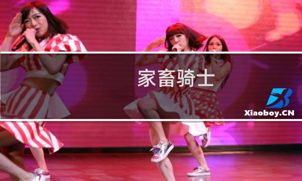 家畜骑士 攻略