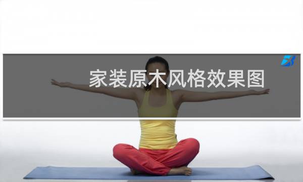 家装原木风格效果图
