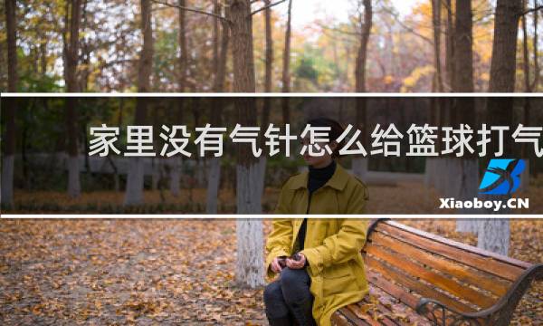 家里没有气针怎么给篮球打气