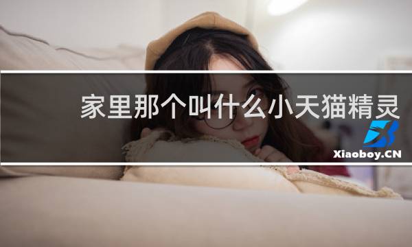 家里那个叫什么小天猫精灵