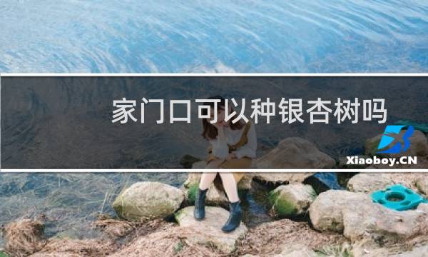 家门口可以种银杏树吗
