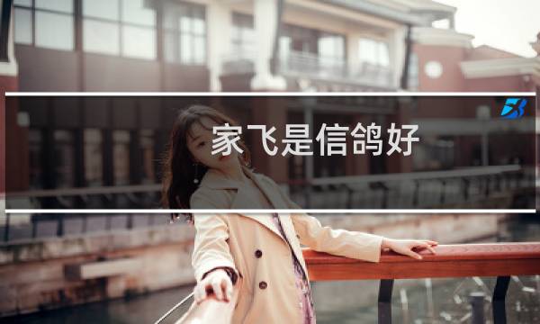 家飞是信鸽好