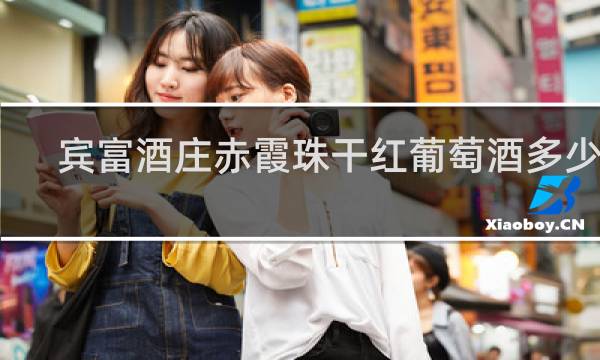 宾富酒庄赤霞珠干红葡萄酒多少钱