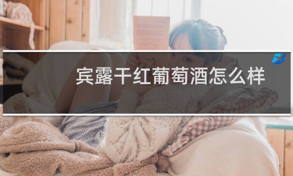 宾露干红葡萄酒怎么样