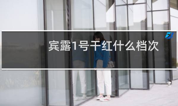 宾露1号干红什么档次