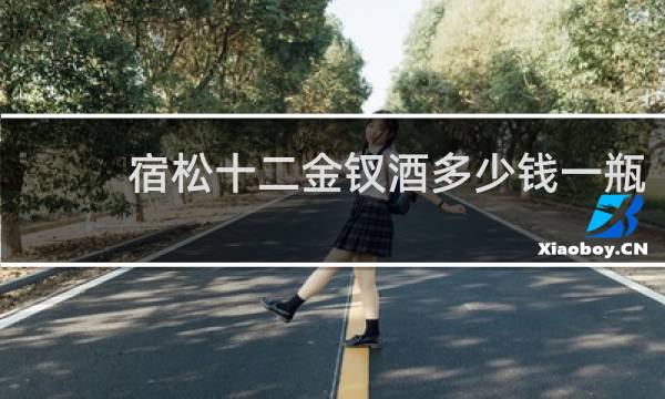 宿松十二金钗酒多少钱一瓶