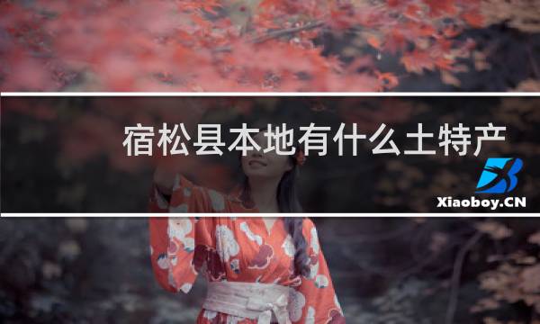 宿松县本地有什么土特产
