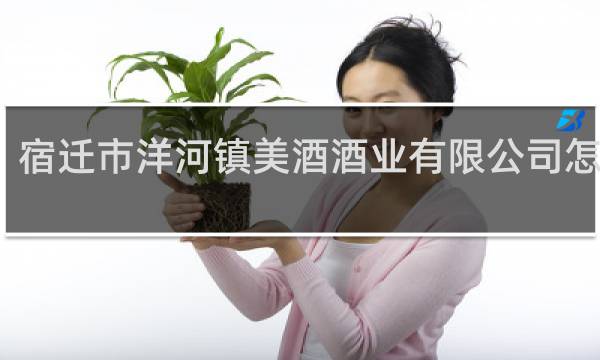 宿迁市洋河镇美酒酒业有限公司怎么样
