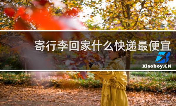 寄行李回家什么快递最便宜