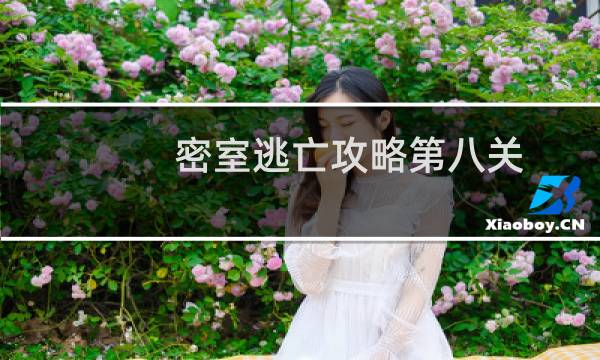 密室逃亡攻略第八关