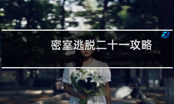 密室逃脱二十一攻略