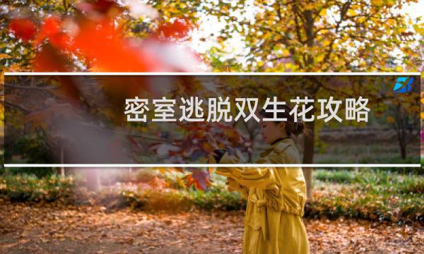 密室逃脱双生花攻略