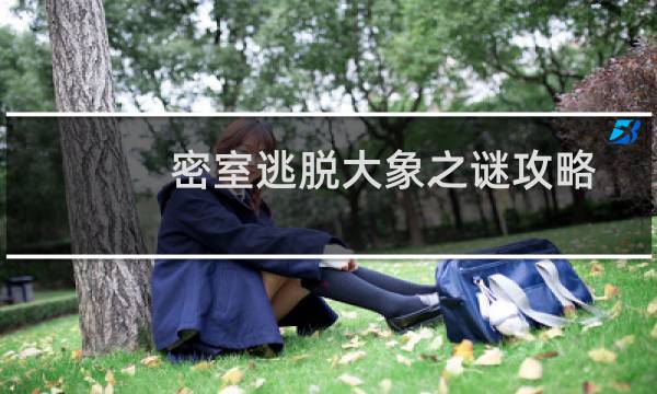 密室逃脱大象之谜攻略
