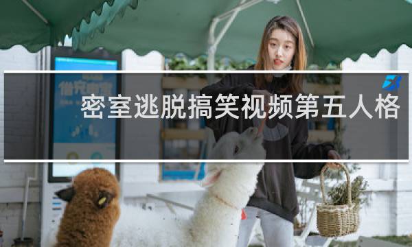 密室逃脱搞笑视频第五人格