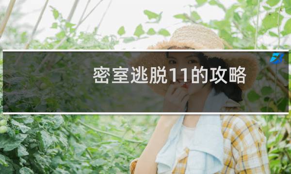 密室逃脱11的攻略