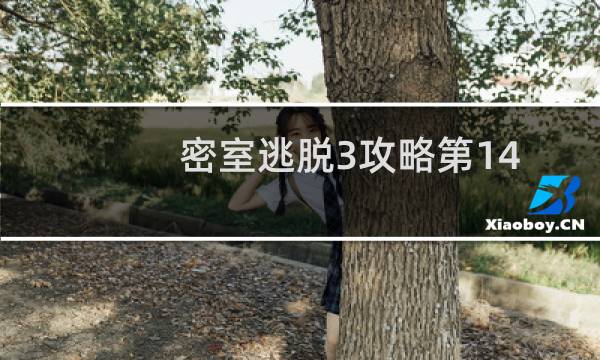 密室逃脱3攻略第14