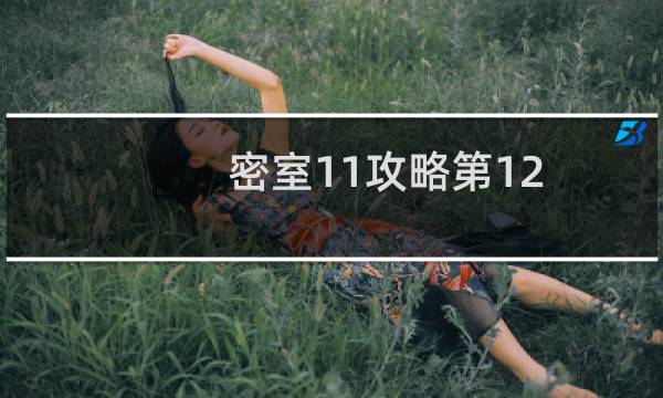 密室11攻略第12